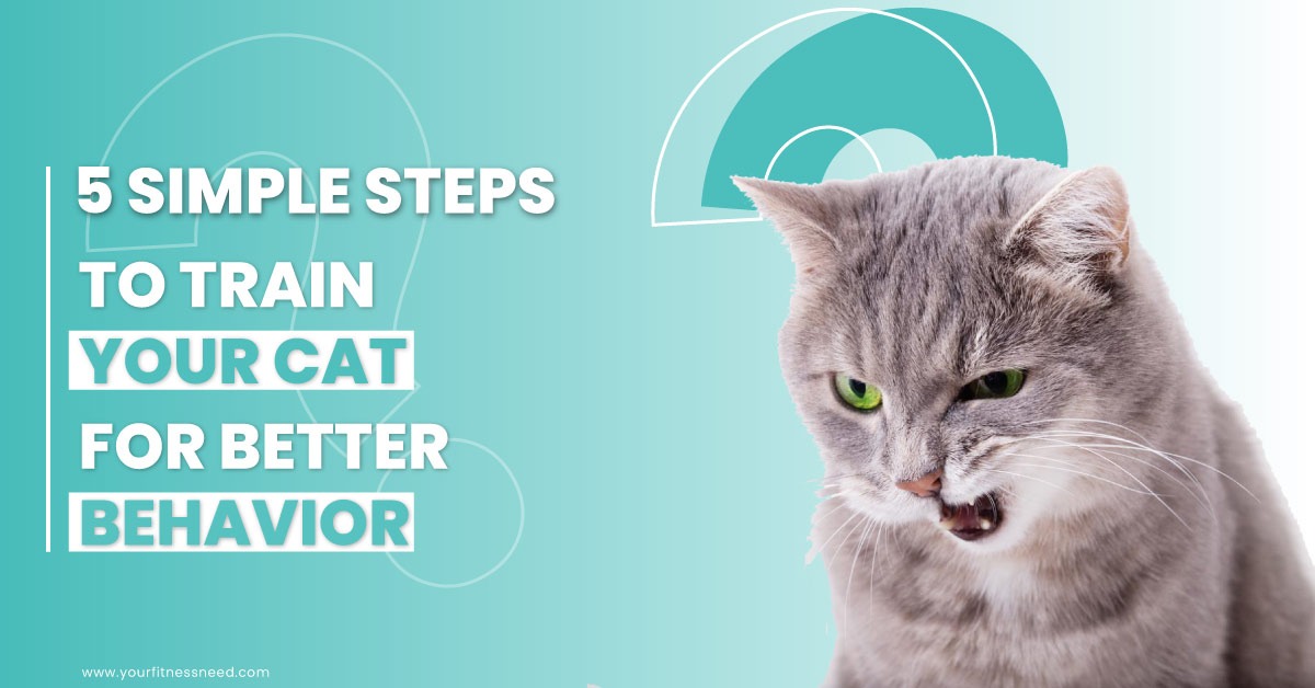 5 Simple Steps to Train Your Cat for Better Behavior