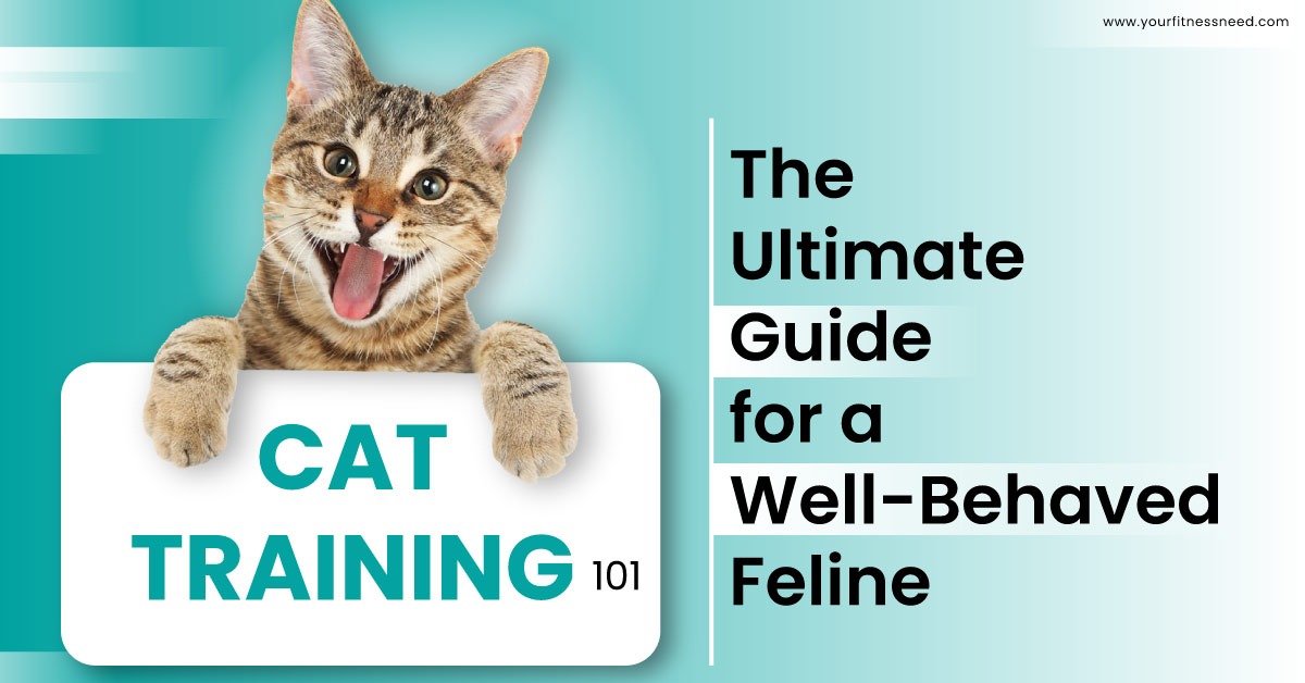 The Ultimate Guide for a Well-Behaved Feline