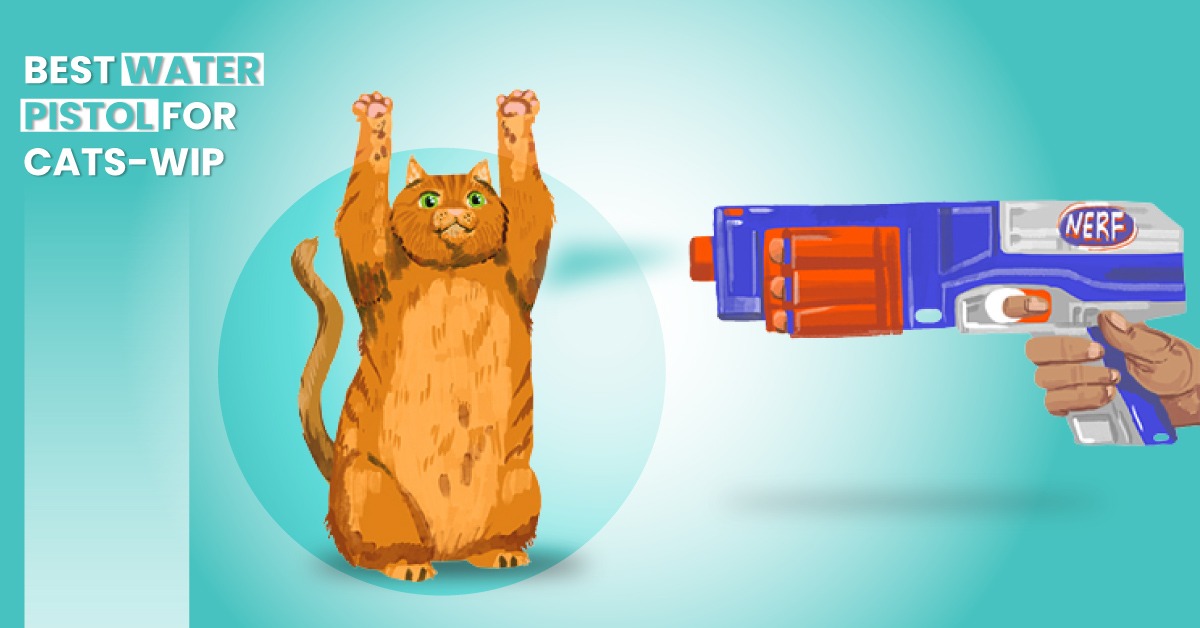 Best Water Pistol for Cats